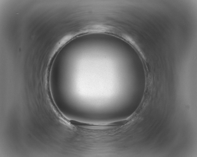 X0000080701477200612151302
