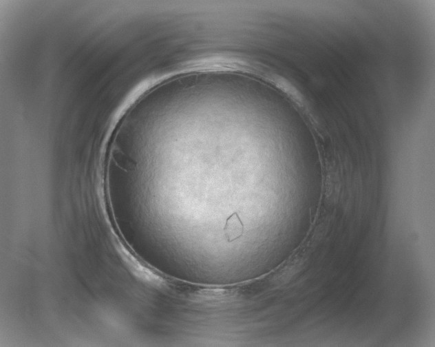 X0000080701478200612151302