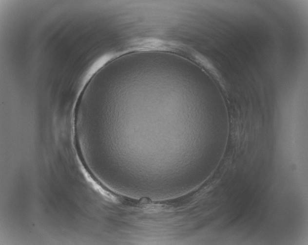 X0000080701479200612151302