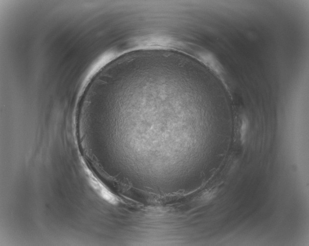 X0000080701480200612151302