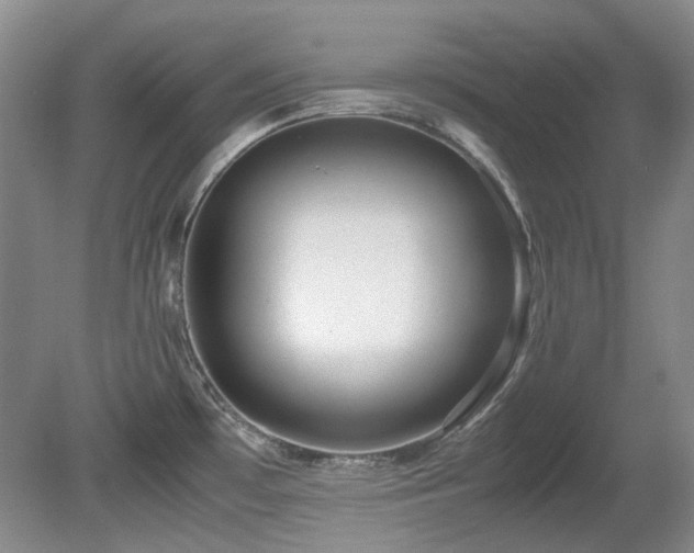 X0000080701481200612151302