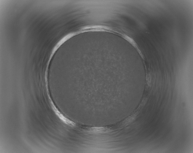 X0000080701482200612151302