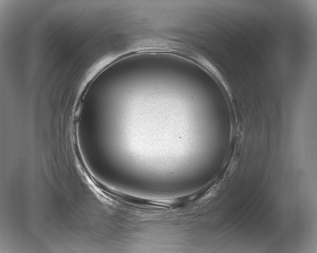 X0000080701485200612151302