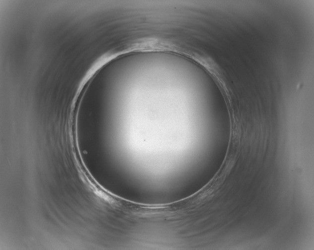 X0000080701486200612151302