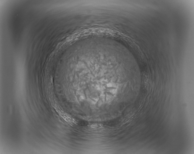 X0000080701489200612151301