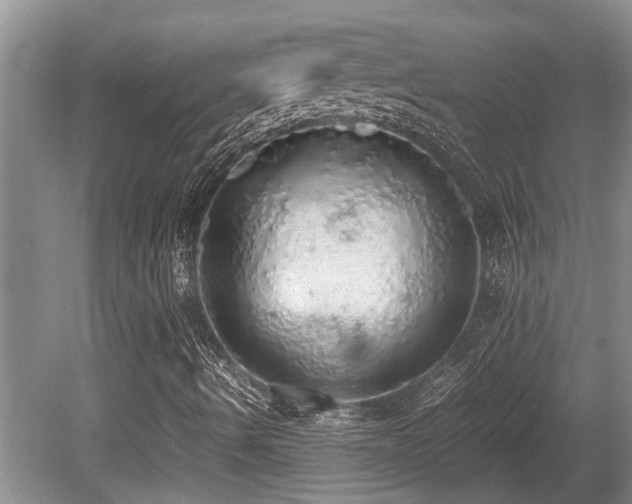 X0000080701490200612151301