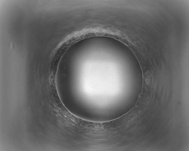 X0000080701495200612151301