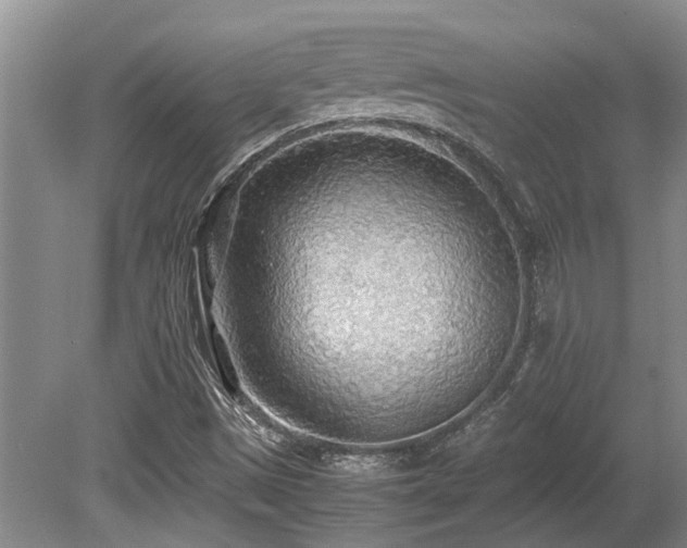 X0000080701497200612151301