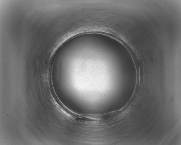 X0000080701500200612151301