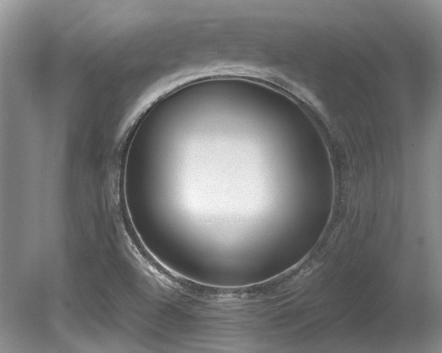 X0000080701504200612151301
