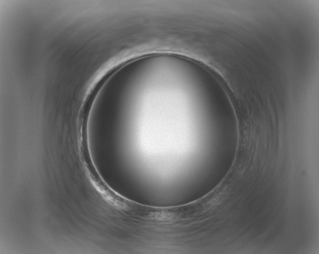 X0000080701511200612151301