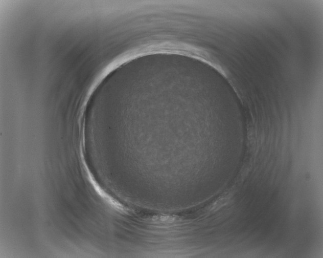 X0000080701515200612151301