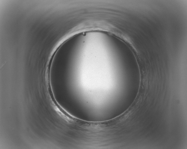 X0000080701516200612151301