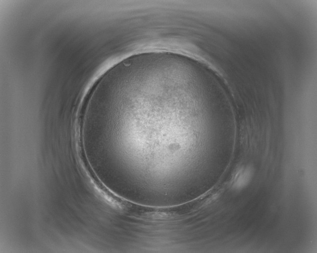 X0000080701517200612151301