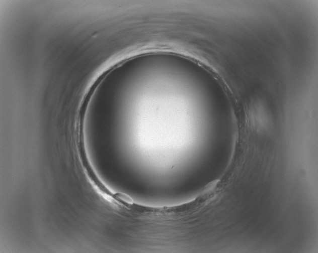X0000080701519200612151301