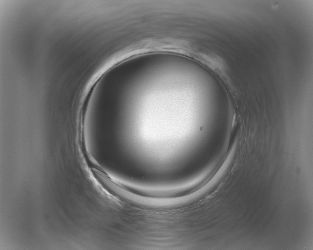 X0000080701520200612151301