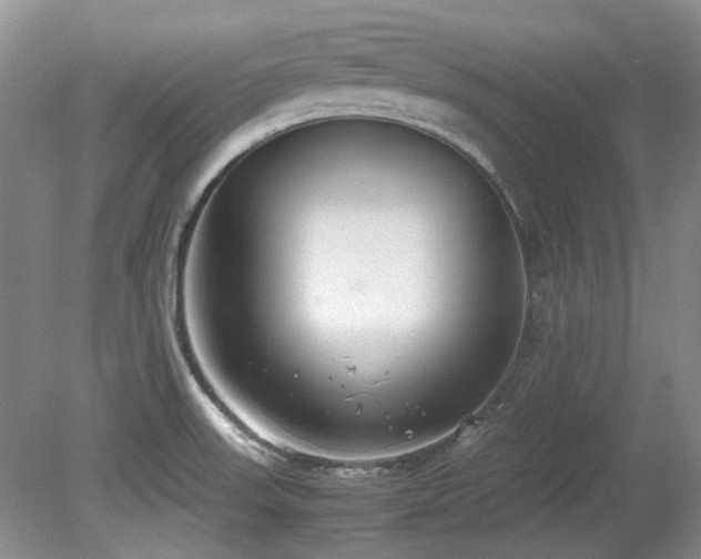 X0000080701523200612151301