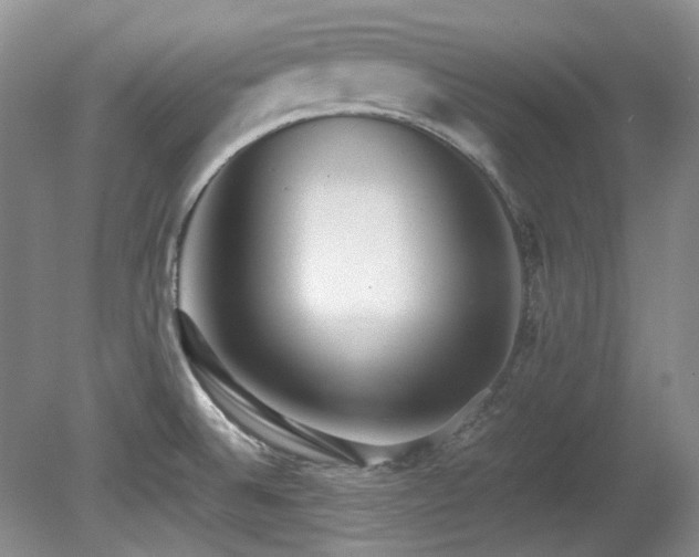 X0000080701524200612151301