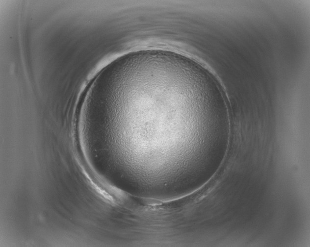 X0000080701525200612151301