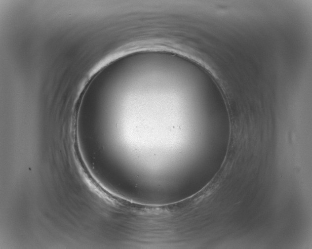 X0000080701526200612151301