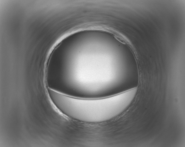 X0000080701528200612151301