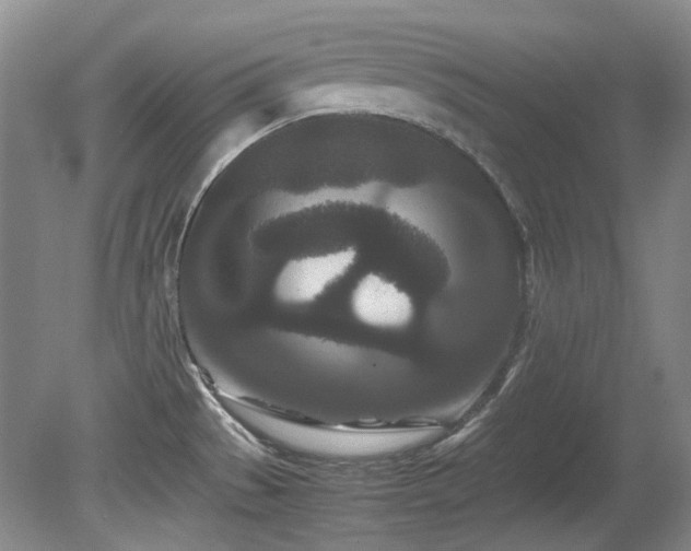 X0000080701529200612151301