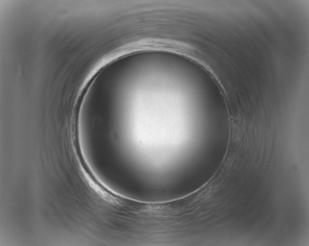 X0000080701531200612151301