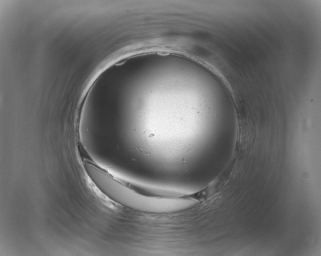 X0000080701532200612151301