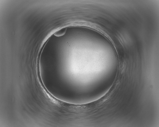 X0000080701533200612151301