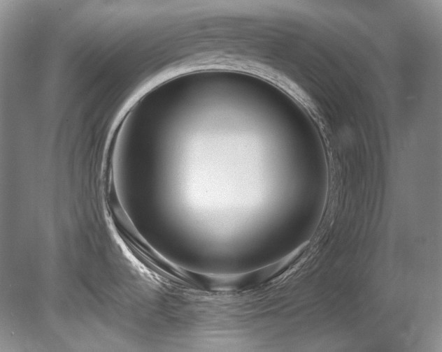 X0000080701536200612151302