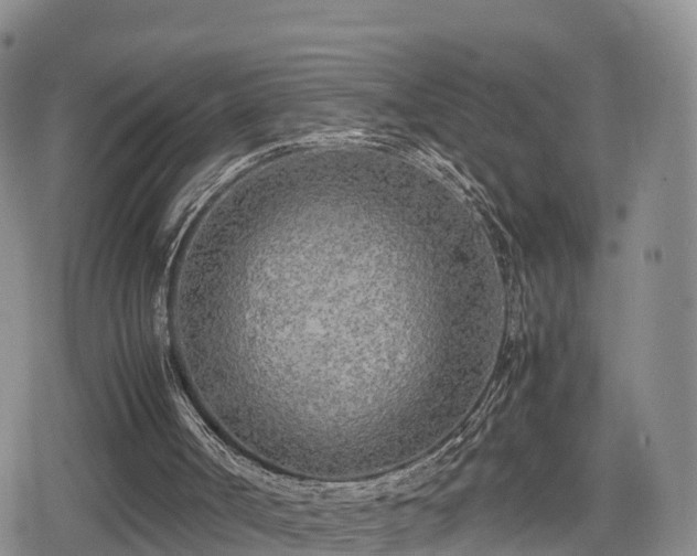 X0000080700002200612221129