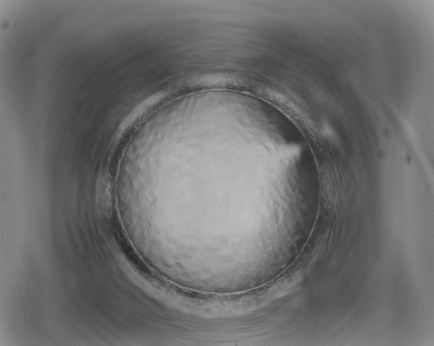 X0000080700016200612221129