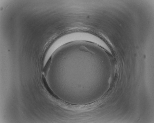 X0000080700023200612221129
