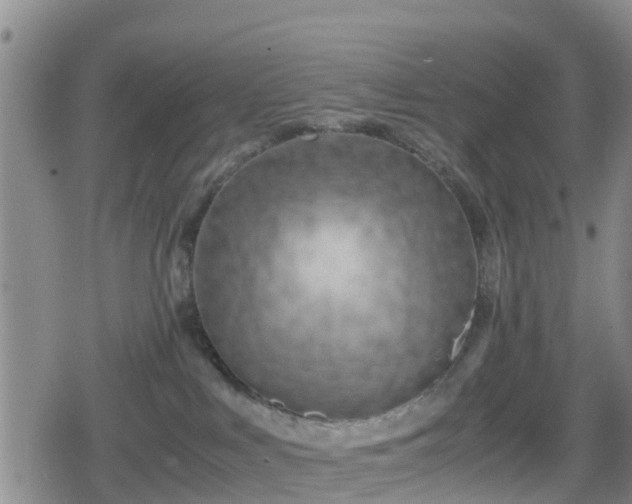 X0000080700043200612221129