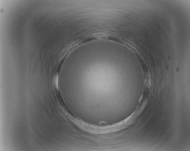 X0000080700047200612221129