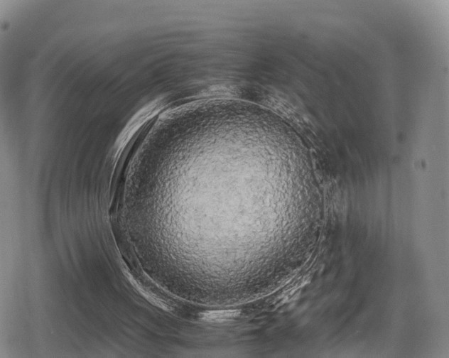 X0000080700051200612221128