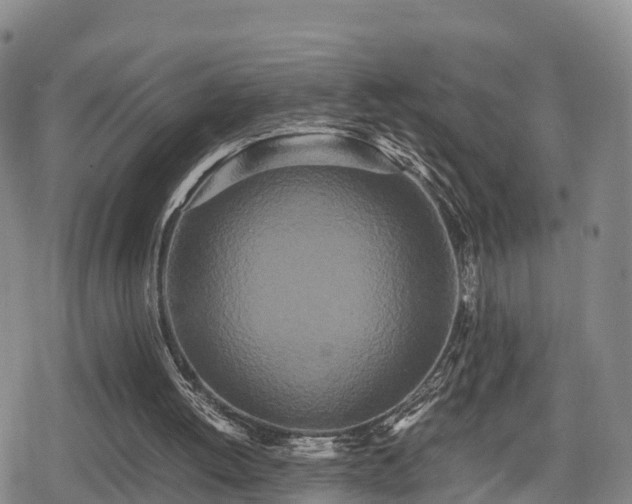 X0000080700052200612221128
