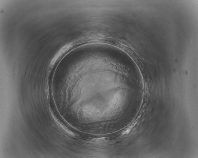 X0000080700054200612221128