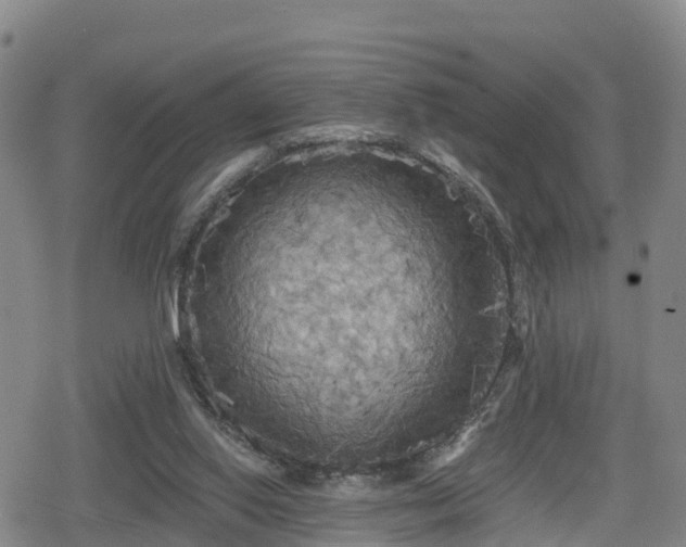 X0000080700062200612221128