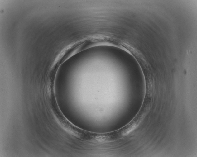 X0000080700064200612221128