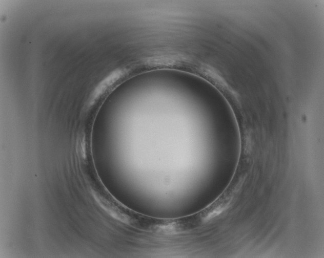 X0000080700068200612221128