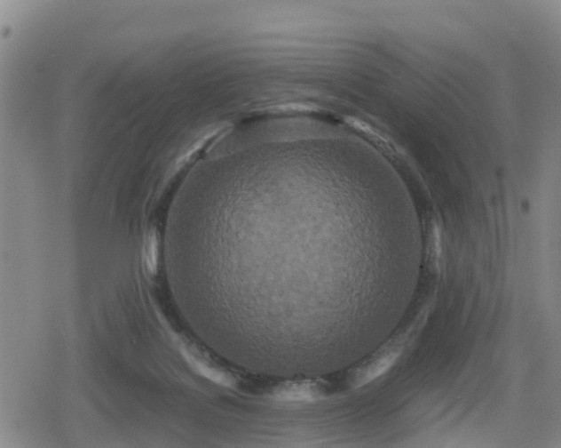 X0000080700076200612221128