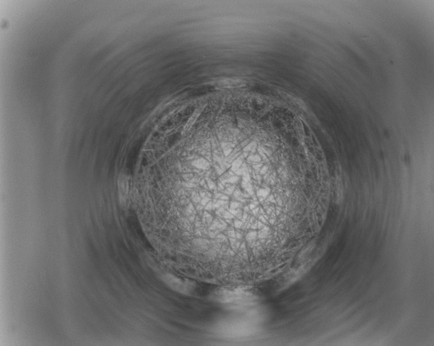 X0000080700093200612221128