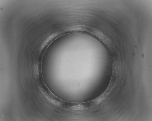 X0000080700112200612221127