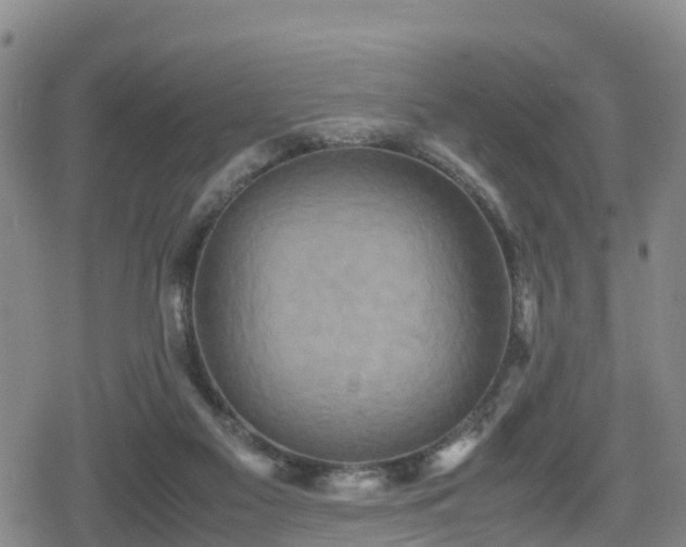 X0000080700117200612221127