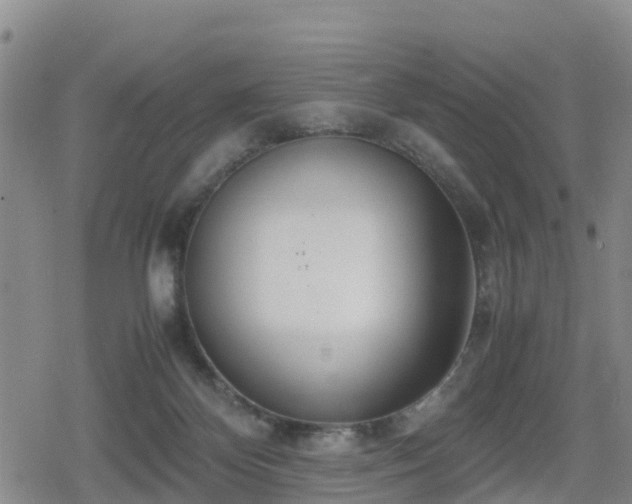X0000080700124200612221127