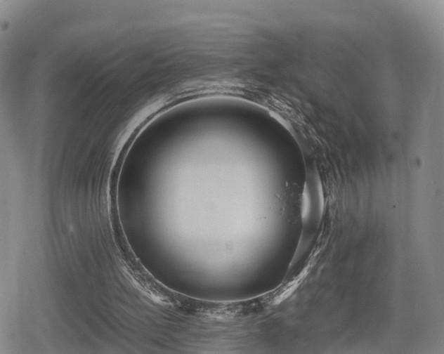X0000080700148200612221126