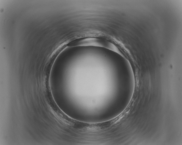 X0000080700154200612221126