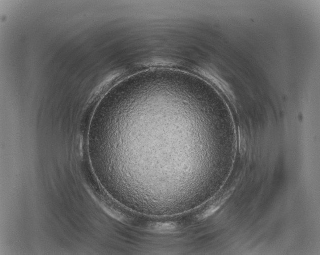 X0000080700157200612221126