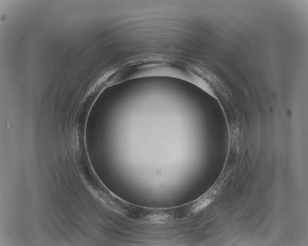 X0000080700158200612221126